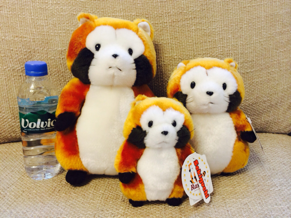 セキグチsekiguchi ラスカルぬいぐるみ 大中小セット(あらいぐま