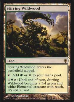 ◆ＭＴＧ　活発な野生林　英　◆c_1