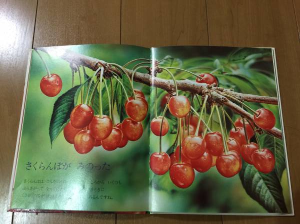 キンダーブックしぜん さくらんぼ 知育絵本 学習絵本 売買されたオークション情報 Yahooの商品情報をアーカイブ公開 オークファン Aucfan Com
