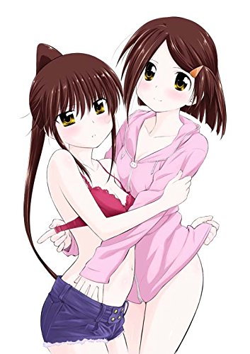 DVD付き Kiss×sis(14)限定版新品送料無料