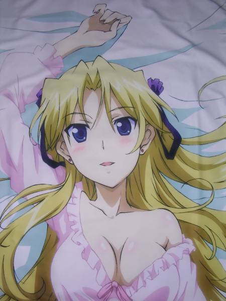 キャラハイ　カンピオーネ　エリカ・ブランデッリ　抱き枕　中古