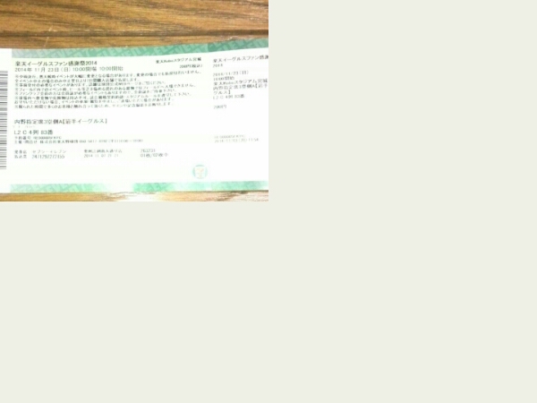 楽天イーグルスファン感謝祭2014　内野指定席3塁側A_1