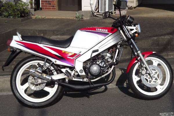 ヤマハｔｚｒ125 最終モデル ジャッカルｒｓチャンバー付き 51cc 125cc 売買されたオークション情報 Yahooの商品情報をアーカイブ公開 オークファン Aucfan Com