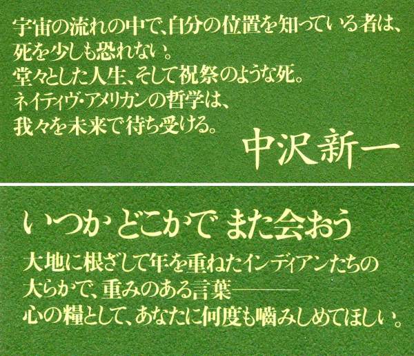 今日は死ぬのにもってこいの日 詩画集 ナンシー ウッド 文化 民俗 売買されたオークション情報 Yahooの商品情報をアーカイブ公開 オークファン Aucfan Com