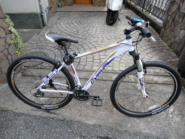 MTB エンデバービセオ29er あさひ自転車購入品 走行一回美品(Lサイズ 