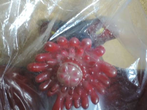 ドリームロケット ギロズン ソフビ 仮面の忍者 赤影 怪獣 特撮 売買されたオークション情報 Yahooの商品情報をアーカイブ公開 オークファン Aucfan Com