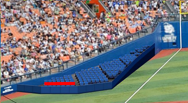 最前列【即決】3塁エキサイティングシートペア■横浜-阪神5/24