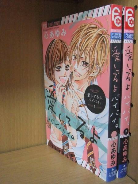 全巻 愛してるよバイバイ 全２巻 心あゆみ 全巻セット 売買されたオークション情報 Yahooの商品情報をアーカイブ公開 オークファン Aucfan Com