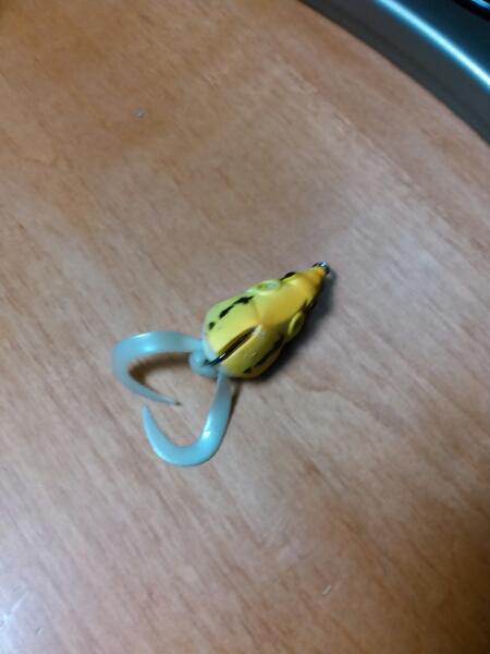 バス　ナマズ用　シンキングフロッグ_2