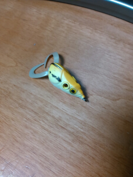 バス　ナマズ用　シンキングフロッグ_3