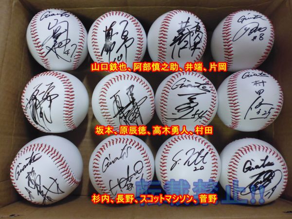 驚きの破格値，新作登場 ☆ 読売ジャイアンツ 12選手 直筆サインボール