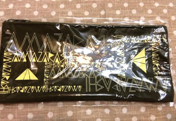 amazarashi ライブグッズ 夕日信仰ヒガシズム ペンケース 新品(記念品