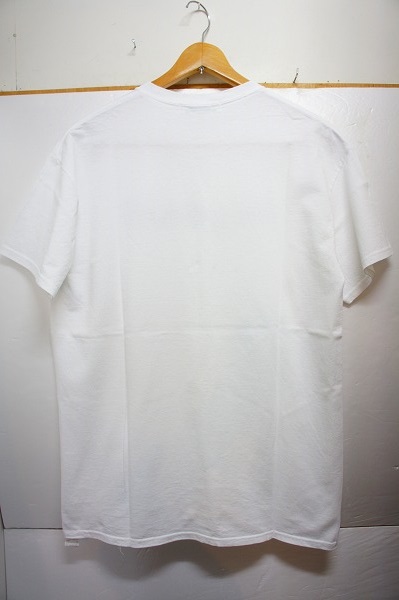 15SS FLAGSTUFFフラッグスタッフICE LOGOアイス ロゴTシャツ713F