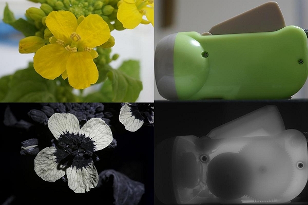 改造カメラ A6000 科学 天文 医療分野 紫外線 赤外線撮影 ソニー 売買されたオークション情報 Yahooの商品情報をアーカイブ公開 オークファン Aucfan Com