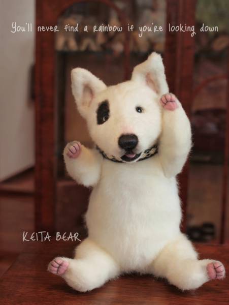 KEITA BEAR☆ミニチュアブルテリア☆アイパンチ君…♪