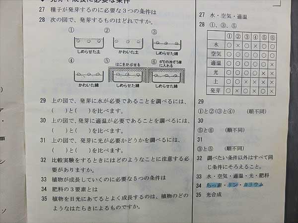FS84-006 SAPIX 小5小6理科 記憶の535⁄635 2006⁄2007 計2 FS84-006 SAPIX 小5小6理科 記憶の535⁄635 2006⁄2007 計2