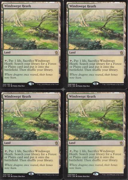 MTG/英語版/吹きさらしの荒野4枚/レア ノーマルカード Magic: The