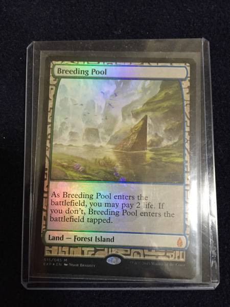 MTG 繁殖池 Foil Expedition MTG 繁殖池 EXP foil Foil《繁殖池