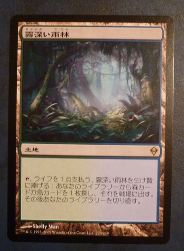 MTG | Rainforest 霧深い雨林 霧深い雨林⁄Misty foil 土地R 日本最大