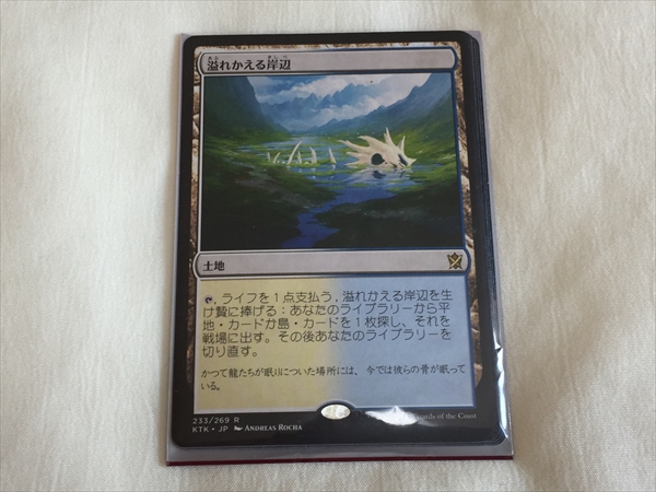 MTG 溢れかえる岸辺 KTK 日本語4枚 土地
