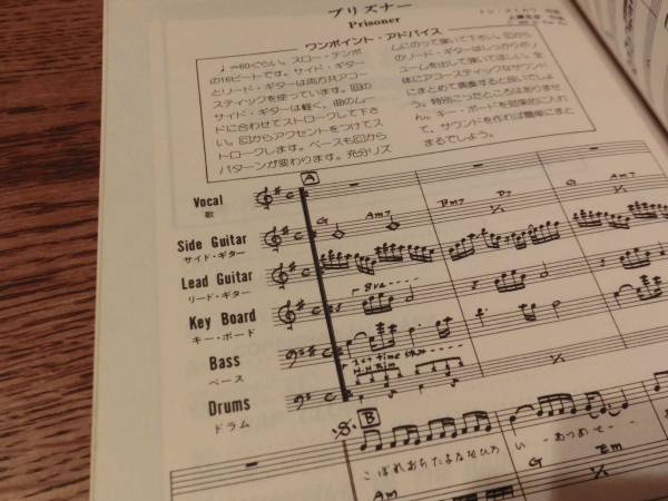 柳ジョージ&レイニーウッド/バンドスコア/レコードコピー