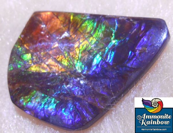 アンモライト ルース NATURAL Ammolite BLUE 紫 緑 橙 25x20mm 46