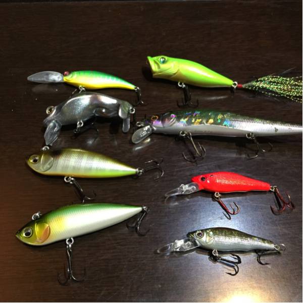 新作入荷，正規品 メガバス ルアー セット ワンテン ポップX等 検 ダッジ(セット)｜売買されたオークション情報、yahooの商品情報をアーカイブ公開 - オークファン 淡水