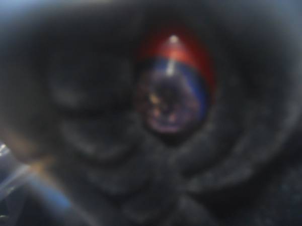 CCP　ヘドラ　フロッキーVer　限定未開封品