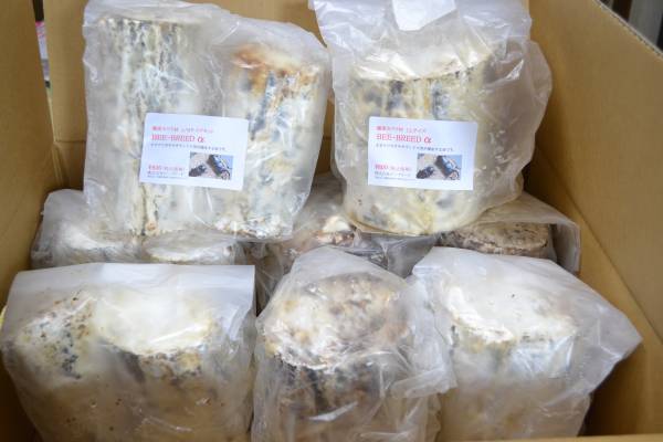 爆産カワラ材　LLサイズ5袋　L/Mセット3袋 計 8袋 BEE BREEDα