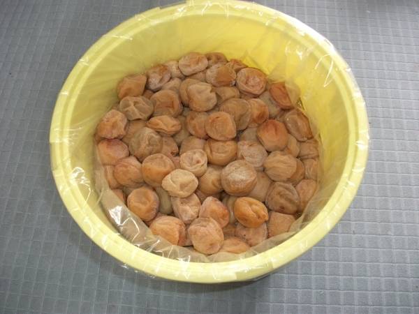 梅干し、 3L 切れ 10㎏ 入り 紀州みなべ産 世界農業遺産認定