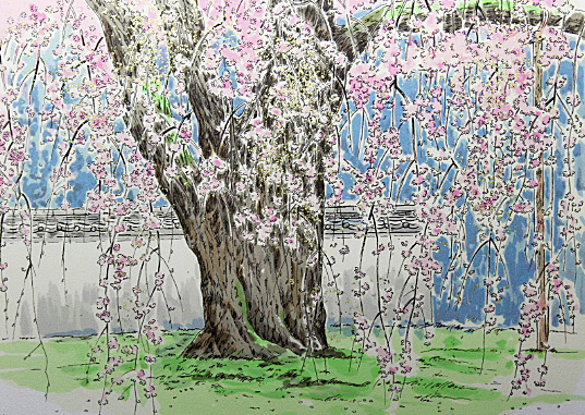 □秦誠 【醍醐寺桜】 シルクスクリーン 金彩 サイン エディ有り 京都の