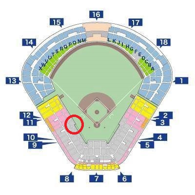 広島カープVS巨人 9月20(金)SS指定1塁寄りペア 通路側から2席 広島