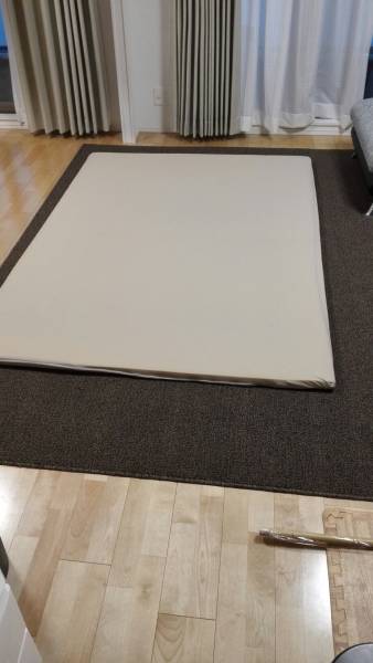 ★トゥルースリーパーネオフィール ダブル　中古品★