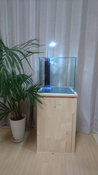 最新　オーバーフロー水槽セット　３０ｃｍキューブ　ＬＥＤ付き