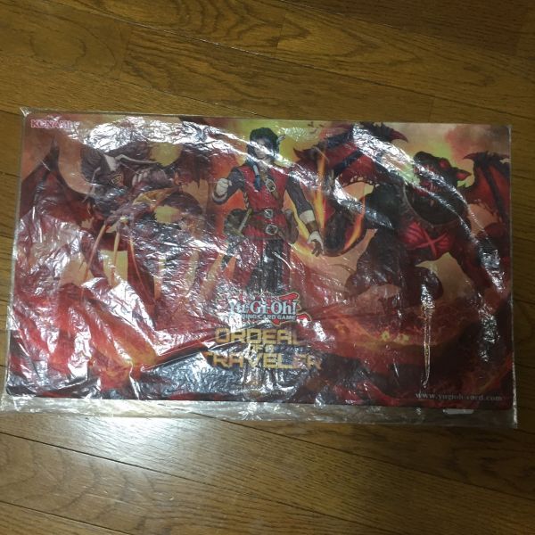 溢れかえる岸辺 土地R | MTG Foil《溢れかえる岸辺⁄Flooded 日本最大
