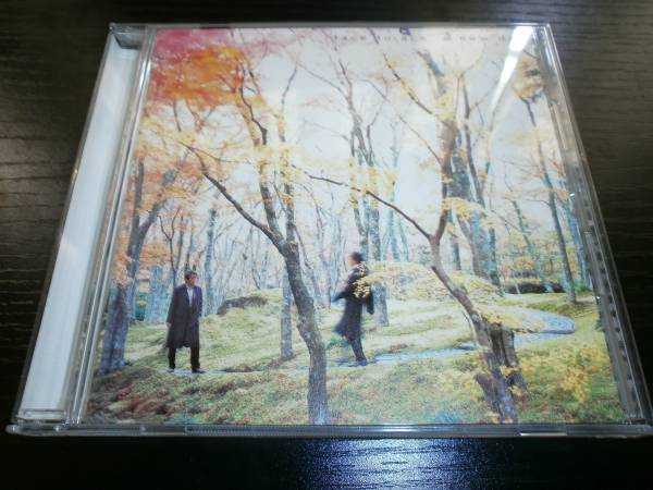 to face - DAY⁄エース清水⁄2003年 ace⁄ツアーパンフレット⁄TOWARD A