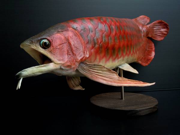 ハンドメイド　41cmアジアアロワナ　レッド　フィギュア　レプリカ　熱帯魚 アジアアロワナ レッド レプリカ ハンドメイド 41cmアジアアロワナ