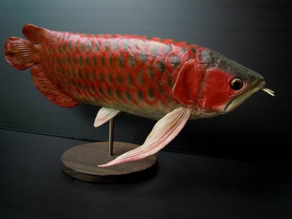 アジアアロワナ レッド レプリカ ハンドメイド 41cmアジアアロワナ