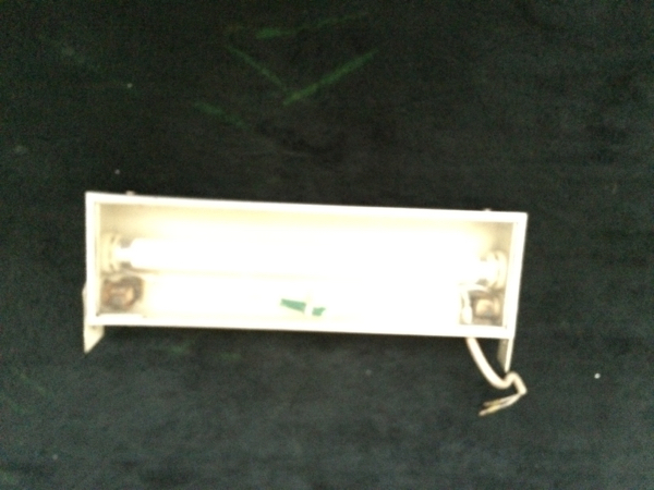 ゴールドキング ワンマン 灯