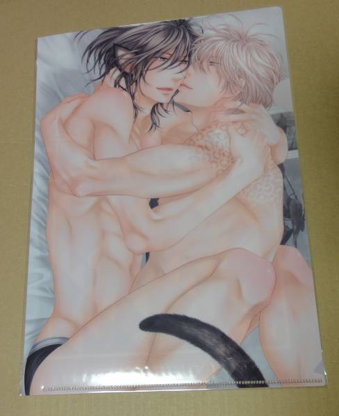 左京亜也 クロネコ彼氏の愛し方 コミコミ交換クリアファイル ボーイズラブ 売買されたオークション情報 Yahooの商品情報をアーカイブ公開 オークファン Aucfan Com