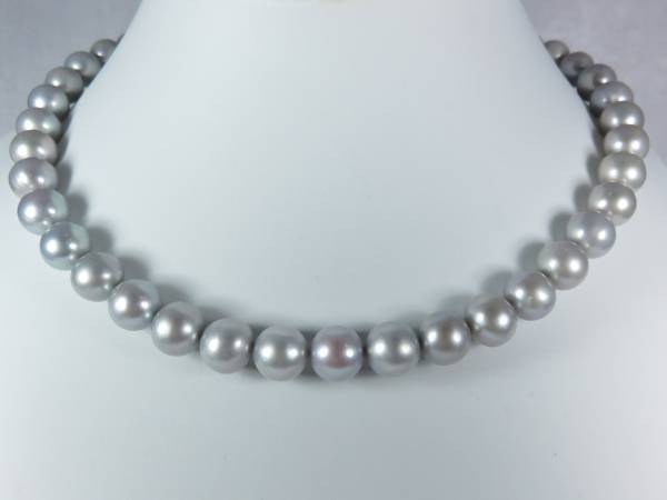 【大珠】真珠 グレー パールネックレス 約9.3-10.5mm シルバー金具 真珠工房 大粒ずっしり10.3mm グレー真珠ネックレス 本真珠 【公式通販】