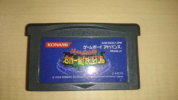 u169634365.1