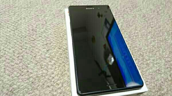 x483584295.2