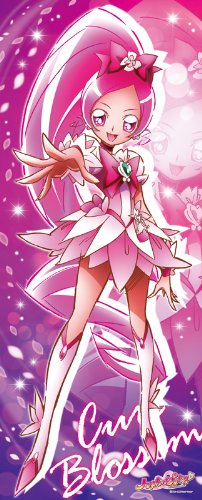 ハートキャッチプリキュア 等身大タペストリー キュアブロッサム タペストリー 売買されたオークション情報 Yahooの商品情報をアーカイブ公開 オークファン Aucfan Com