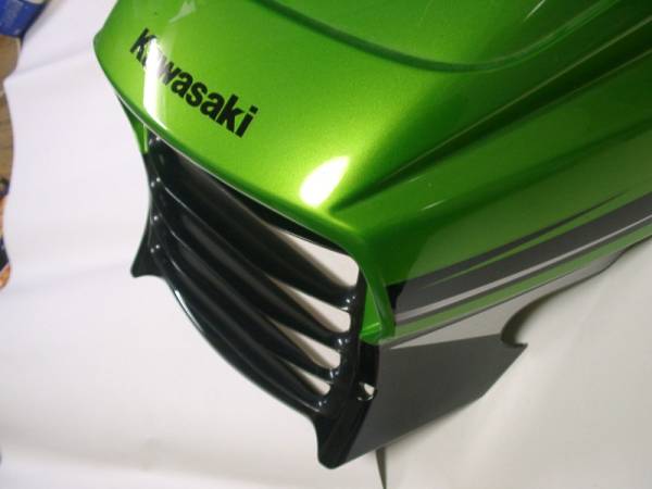 ダエグ ライトルーバー ZRX1200 DAEG 即決！(フロント