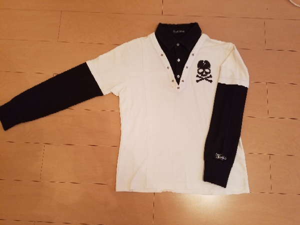 t500293388.1