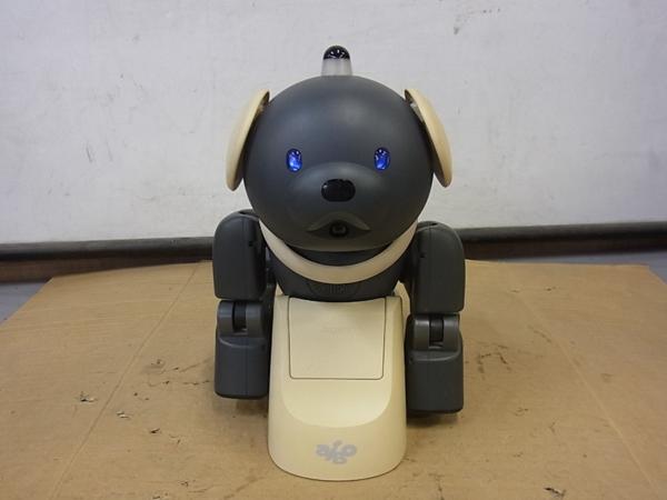 m231996248.3