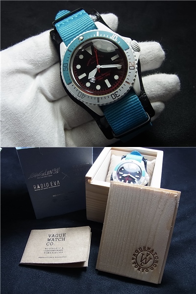 g231203166.1