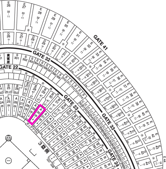 通路側３枚！7/11(火)　巨人vsヤクルト　ネット裏スターシート