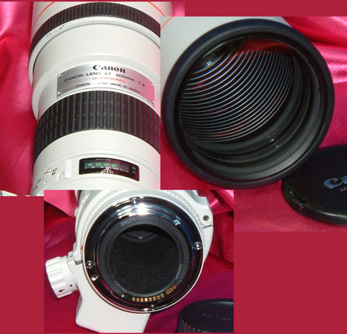 x517885946.2